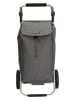Beagles Einkaufstrolley in Grau - (B)32 x (H)54 x (T)24 cm