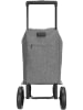Beagles Einkaufstrolley in Grau - (B)43 x (H)100 x (T)40 cm