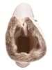 CMP Winterstiefel "Nietos" in Creme