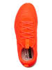 SCARPA Trekkingschuhe "Gecko City" in Orange