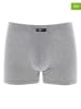 COTONELLA 2er-Set: Boxershorts in Grau