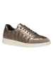 Geox Sneakers "Meleda" in Gold