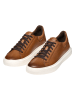 Geox Leder-Sneakers "Deiven" in Hellbraun