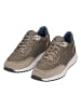 Geox Sneakers "Molveno" in Taupe