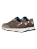 Geox Sneakers "Molveno" in Taupe