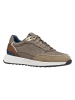 Geox Sneakers "Molveno" in Taupe