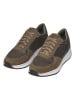 Geox Sneakers "Branthon" in Khaki