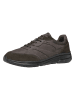 Geox Sneakers "Klaiver" bruin