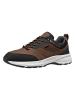 Geox Sneakers "Senales B Abx" bruin/zwart