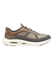 Geox Sneakers "Spherica Ecub-5" in Khaki