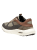 Geox Sneakers "Spherica Ecub-5" in Khaki
