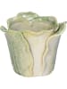 Kersten Blumentopf ''Cabbage'' in Creme/ Grün - (H)8,2 x Ø 10,8 cm
