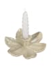 Kersten Kerzenhalter ''Flower'' in Beige - (H)4,5 x Ø 17 cm