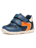 Geox Sneakers "Zapito" blauw