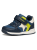 Geox Sneakers "Rishon" blauw
