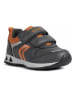 Geox Sneakers in Grau/ Orange