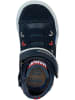 Geox Sneakers "Kilwi" donkerblauw