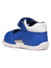 Geox Sandalen "Tapuz" blauw