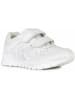 Geox Sneakers "Pavel" wit