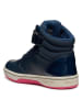 Geox Sneakers "Maltin" in Dunkelblau in Dunkelblau