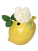 Kersten Vase "Lemon" in Gelb - (B)15 x (H)13 x (T)16 cm