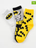 DC Batman 3er-Set: Socken "Batman" in Gelb/ Grau