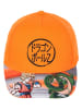 Dragon Ball Z Pet "Dragon Ball Z" oranje