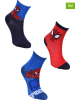 Spiderman 3-delige set: sokken "Spiderman" blauw/rood