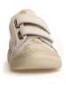 Naturino Leder-Sneakers "Eindhoven" in Beige
