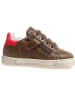 Naturino Leder-Sneakers "Hasselt" in Braun