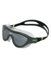 Arena Schwimmbrille in Khaki/ Schwarz