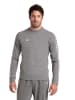 Arena Longsleeve in Grau