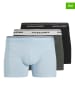 JACK & JONES Junior 3-delige set: boxershorts "Avery"