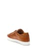 British Passport Leren sneakers bruin