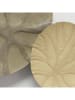 Boltze Wandobjekt "Radix" in Beige/ Braun - (B)56 x (H)34 cm