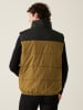 Regatta Doorgestikte bodywarmer "Hawfinch II" geel