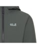 Jack Wolfskin Winterjacke "Snowy Days" in Khaki/ Grau