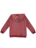 Denokids Sweatjacke "Dragon" in Rot