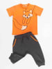Denokids 2-delige outfit "Orange Fox" oranje/grijs