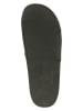 Pepe Jeans FOOTWEAR Pantoletten in Schwarz/ Khaki