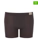Sloggi 2-delige set: boxershorts bruin/kaki