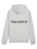 Puma Hoodie in Grau
