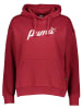 Puma Hoodie "Essentials+" in Rot