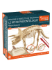 MGM 14-delige creativiteitsset "Paleontologie" - vanaf 6 jaar