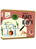 Andreu Toys Experimentierset "Explore the Plants Growth" - ab 8 Jahren