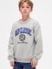GAP Sweatshirt grijs