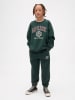 GAP Sweatshirt groen