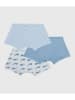 PETIT BATEAU 3er-Set: Boxershorts in Hellblau/ Weiß