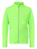 Alpine Pro Fleecejacke "Dozero" in Grün