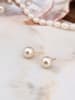 Pierres delicates Vergulde oorstekers met parels